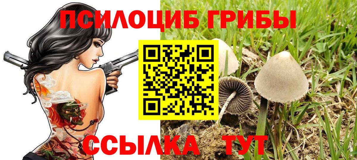 АМФЕТАМИН Мурино