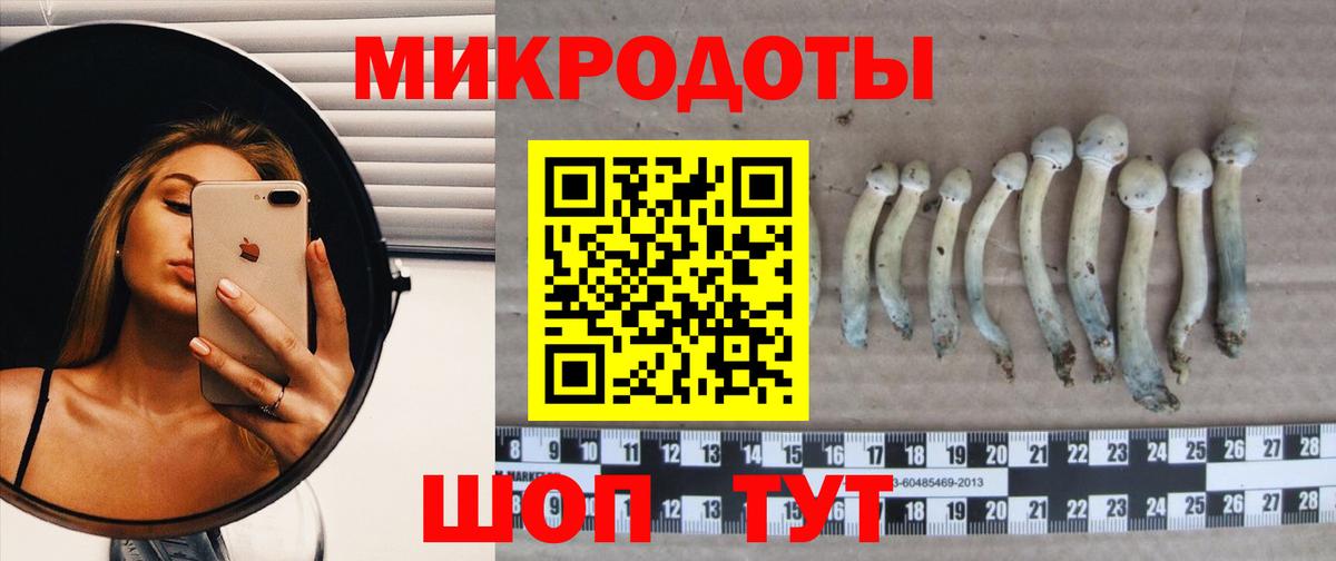 Мурино  Галлюциногенные грибы Magic Shrooms  Галлюциногенные грибы ЛСД  Вход с VPN 